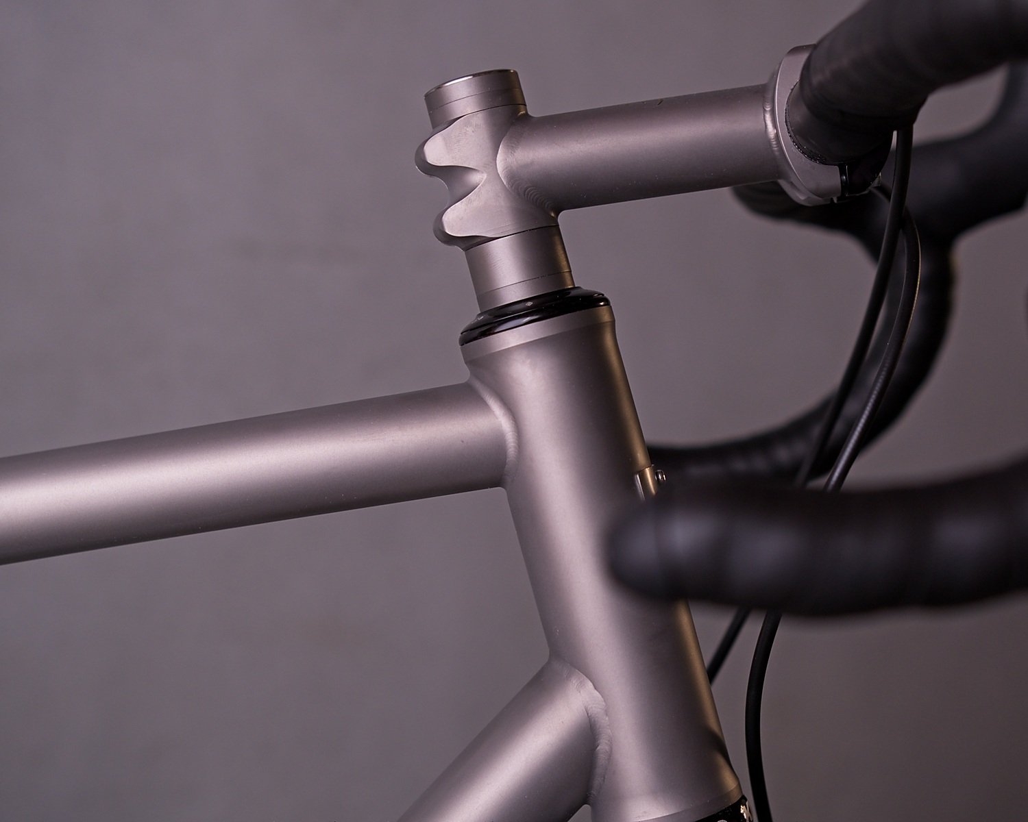 Caletti Stem 1.jpg
